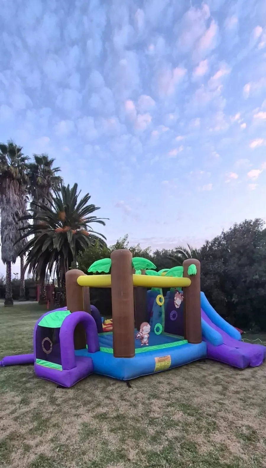 Jungla inflable vista general