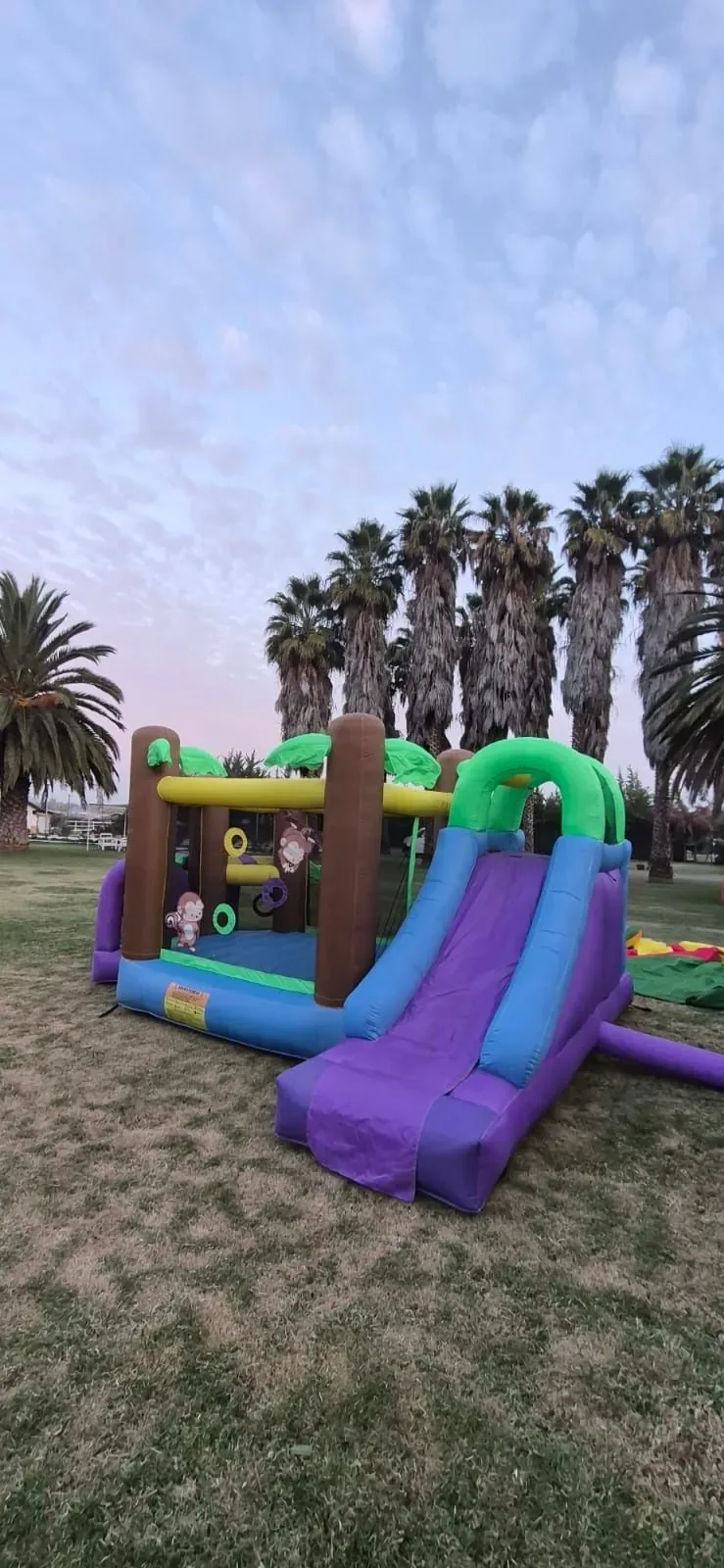 Jungla inflable vista frontal